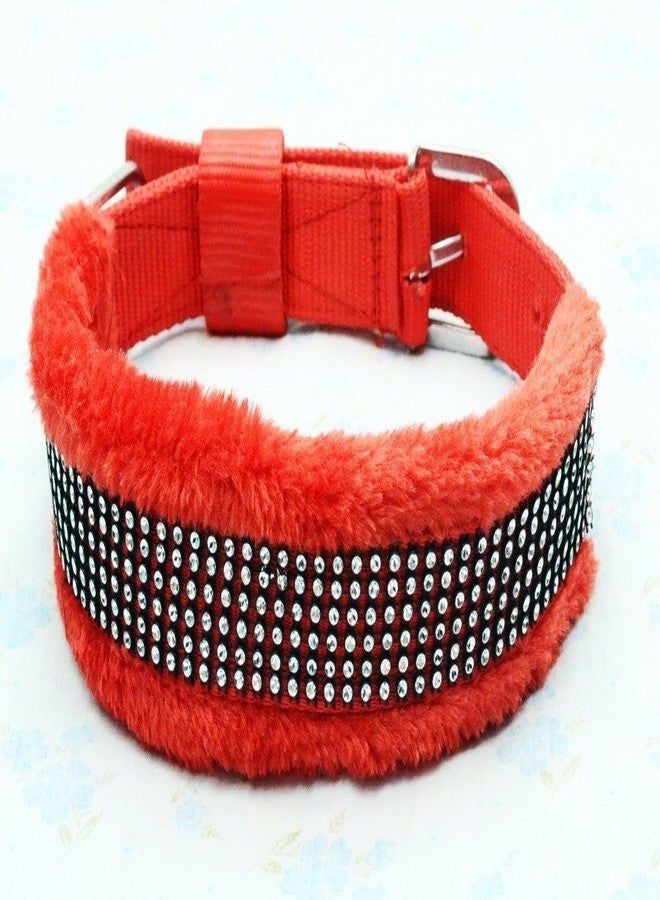 سكورا طوق كلاب أنيق من النايلون من سكورا - 1.25 بوصة - كبير (أحمر) - Image 1